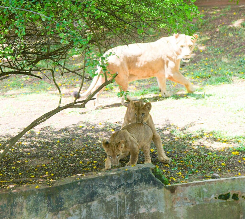 Dehiwala Zoo