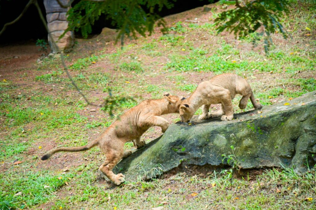 Dehiwala Zoo